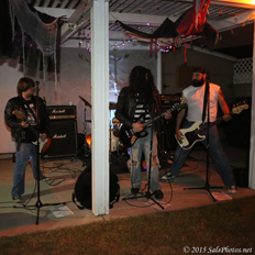 Driven Out - Ramones @ Mike Cikos House 10-31-15