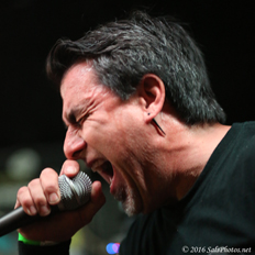 Artichoke @ Doll Hut 3-26-16