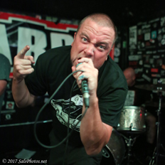 Carpit @ Doll Hut 8-19-17