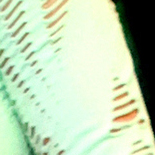 SalsPhotos.net