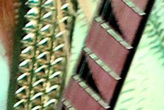 SalsPhotos.net