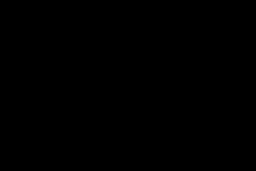 SalsPhotos.net