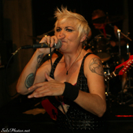 Kitten Head @ Regal Inn 11-15-13