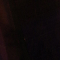 If You Download Please Donate