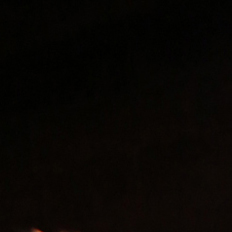 If You Download Please Donate