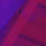 SalsPhotos.net